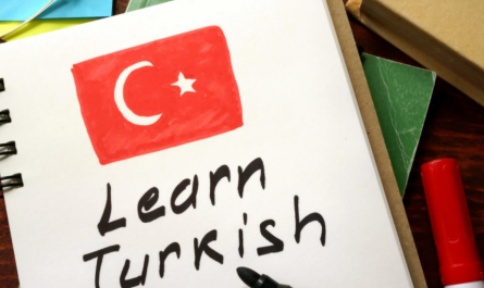 Kata Tunjuk Dalam Bahasa Turki (Bu, Şu, O)