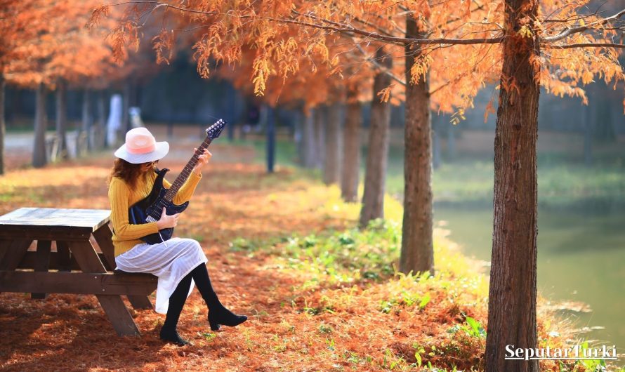 Mindset Sukses untuk Perempuan yang Ingin Berkarir