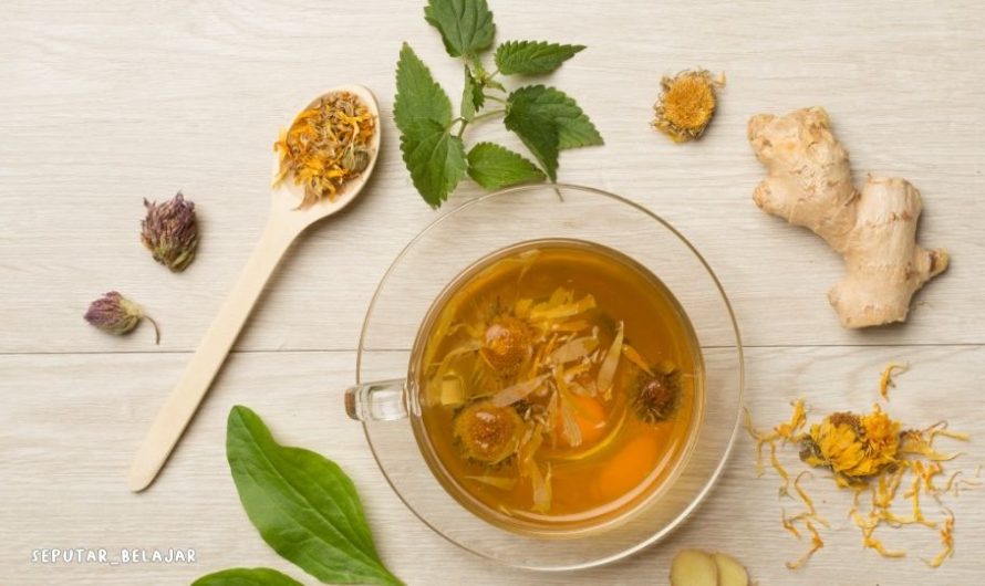 Pilihan Saat Sakit dengan Obat Herbal: Apa Manfaatnya?